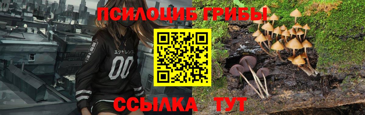 Галлюциногенные грибы мицелий Великие Луки