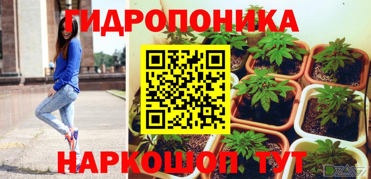 МАРИХУАНА планчик Великие Луки